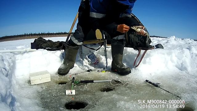 Отличная пятница 19 04 2019 смотреть онлайн