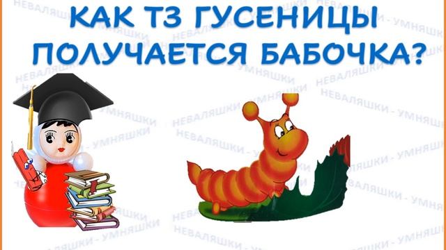 Как из гусеницы получается бабочка смотреть онлайн