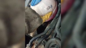 Как легко развоздушить систему охлаждения двигателя на Passat B6