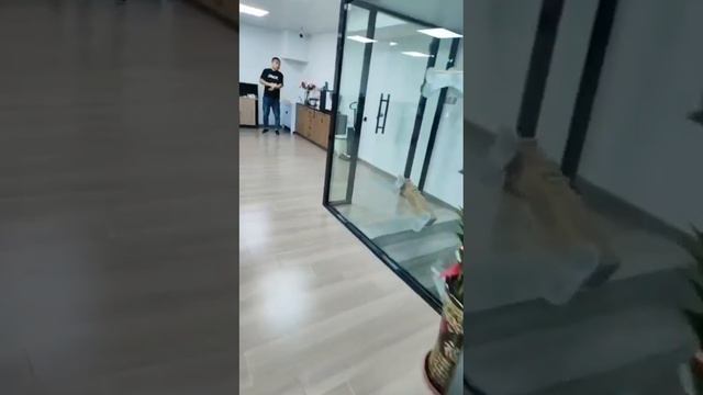 Наш новый склад в городе Шеньчжень, Китай.Заказывайте товары на 1688, Taobao и Poizon.