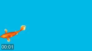 ВИДЕО игра ДЛЯ КОШЕК, КОТОВ - МЫШЬ, ПТИЦЫ, РЫБКИ на экране