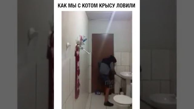 Как мы ловили крысу с котом!!!))))) смотреть онлайн