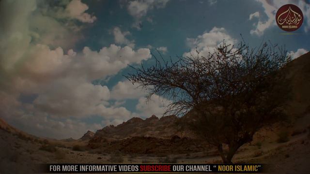 Habeel Aur Qabeel Ka Qissa | Habeel Aur Qabeel | Dunya Ka Pehla Qatal | Story Of Abel And Cain смотреть онлайн