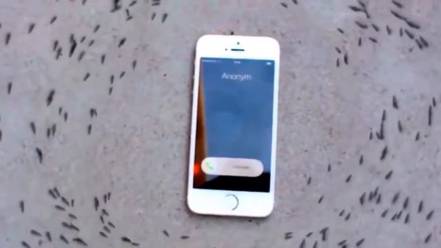 приколы 2017 лучшее смотреть онлайн