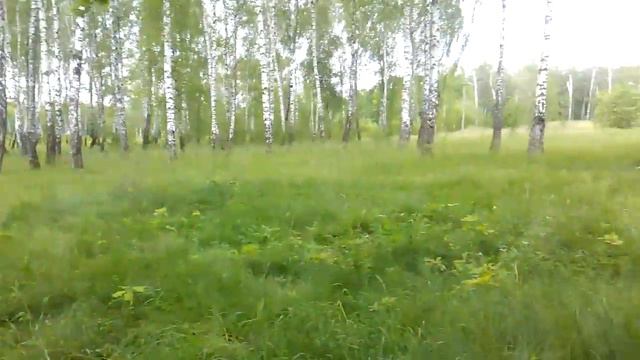 Я казак смотреть онлайн