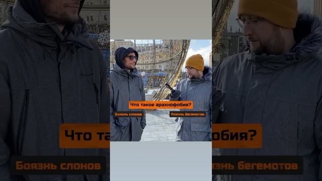 ШКОЛЬНЫЕ ВОПРОСЫ ПРОХОЖИМ. ЧТО ТАКОЕ АРАХНОФОБИЯ? Пишите свой вариант ответа в комментарии ? смотреть онлайн