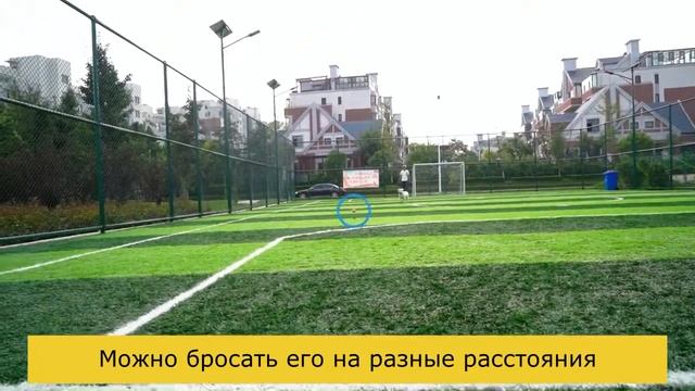 Мяч для собак в форме тыквы смотреть онлайн