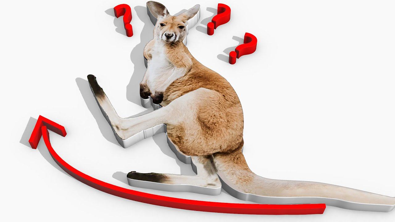 Кенгуру - умеют ли бегать знаменитые прыгуны смотреть онлайн