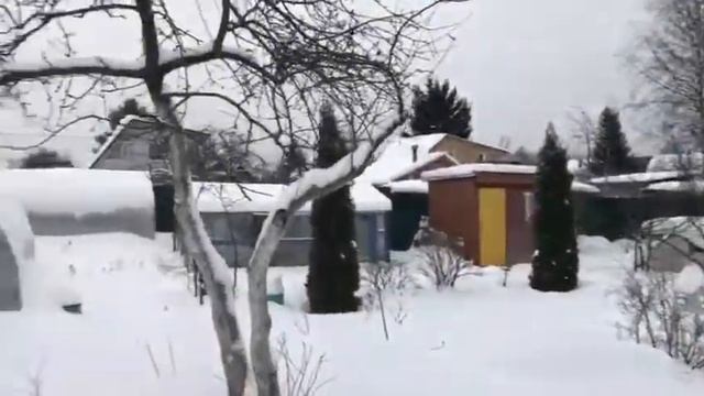 Установка местоположения границ участка в ЛО смотреть онлайн