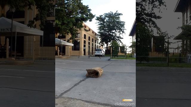 Skateboarding смотреть онлайн