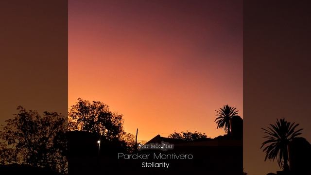 Stellarity (Intro Mix)