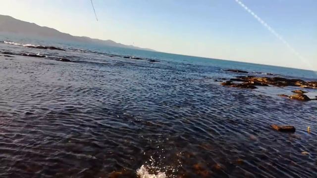 Море раздаёт кунджу. Бешеный клёв из аквариума. смотреть онлайн