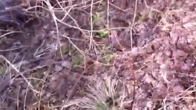 Окрестности Гжели 5 смотреть онлайн