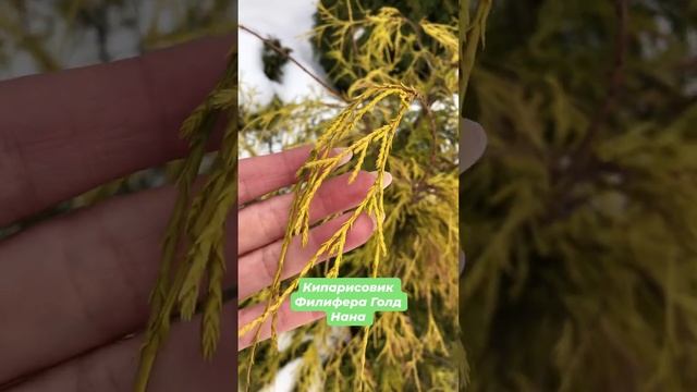 2023-02-07 смотреть онлайн