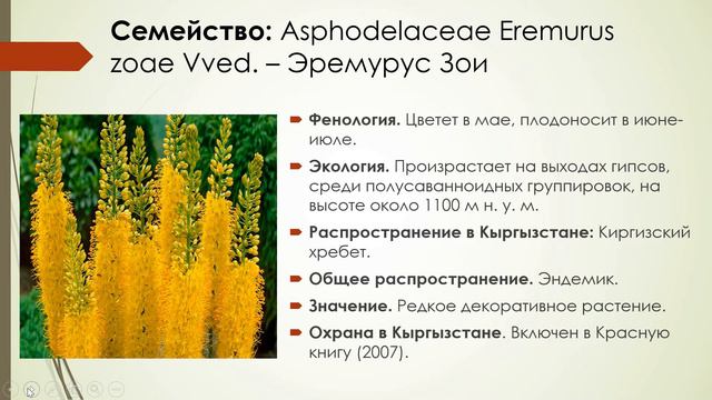 1 я часть лекции на Эндемики лектор: Боронбаева А. А. смотреть онлайн