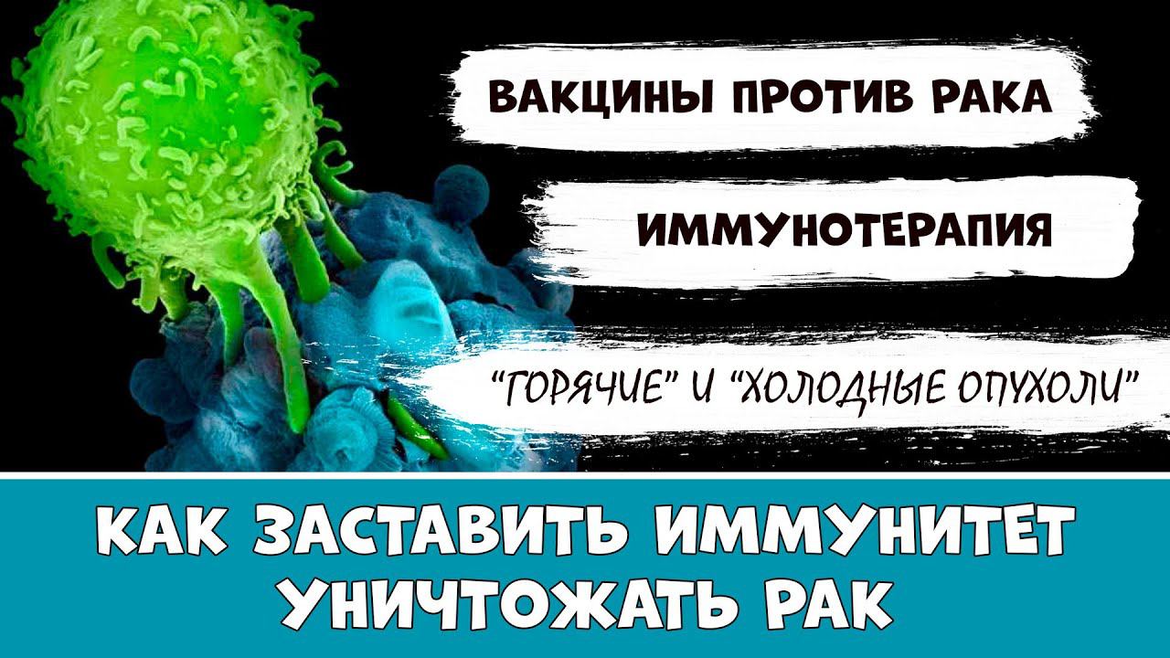 Как усилить иммунитет против рака: вакцины и иммунотерапия. Горячие и холодные опухоли смотреть онлайн