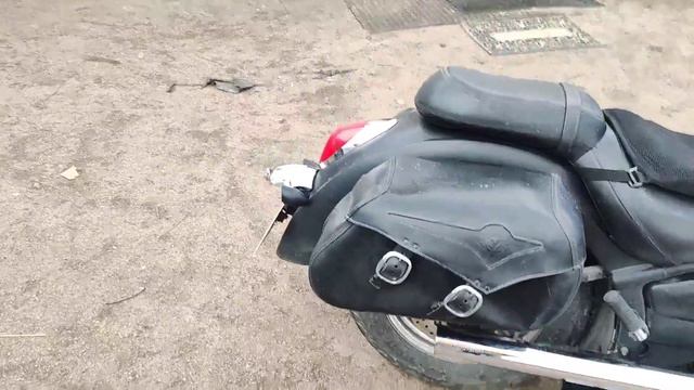 Зверюга конечно прямотоки смотреть онлайн