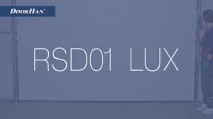 Ворота гаражные автоматические секционные  RSD01 LUX DoorHan