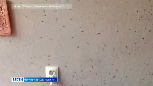 Пенсионеры и инвалиды Грязовецкого интерната живут в невыносимых условиях