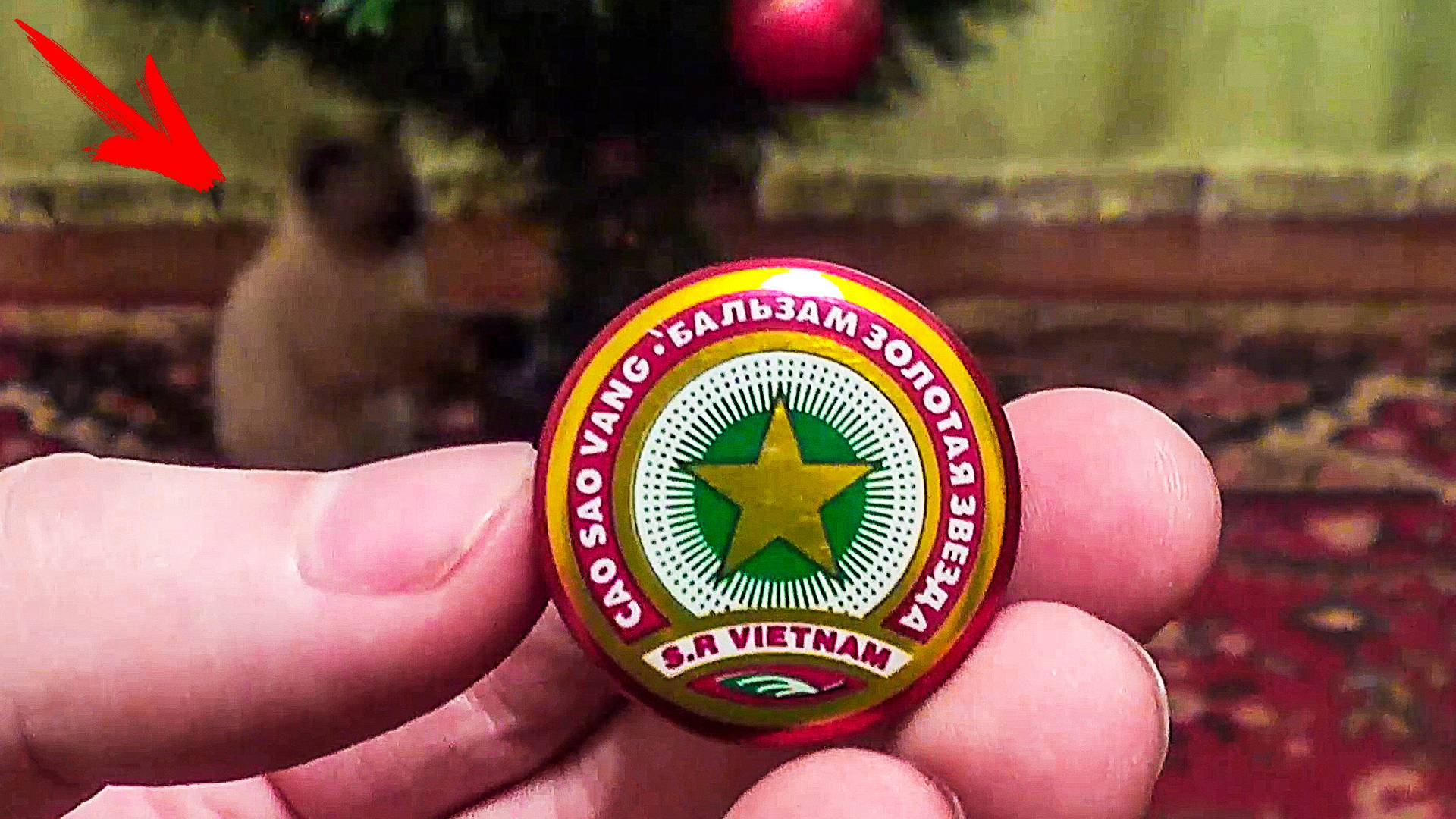 ЗВЕЗДОЧКА ДЛЯ ЕЛКИ, лайфхаки на новый год смотреть онлайн