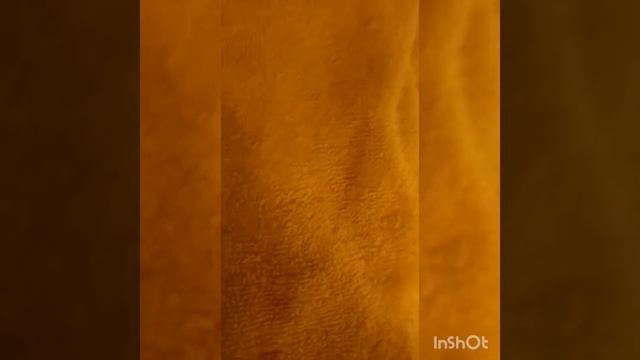 4 июня 2020 г. смотреть онлайн