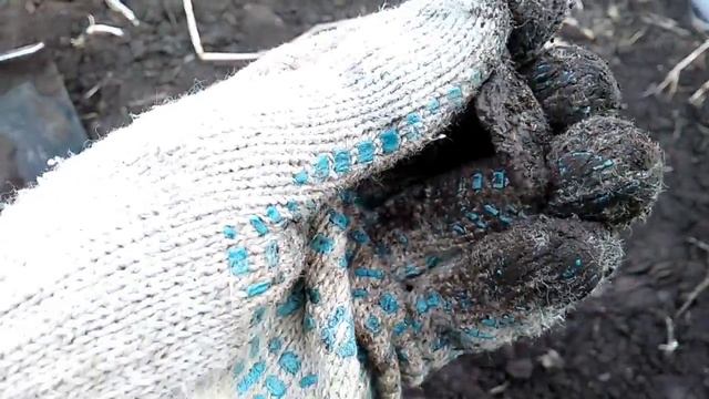ПОИСК МОНЕТ С Minelab X-Terra 705!!! смотреть онлайн