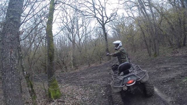 квадроцикл brp can-am 800 max смотреть онлайн