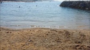 WHITE CITY RESORT HOTEL Турция, Анталия, Аланья май (may) 2017