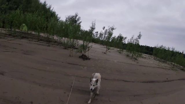 Рыбалка 5 августа 2021год