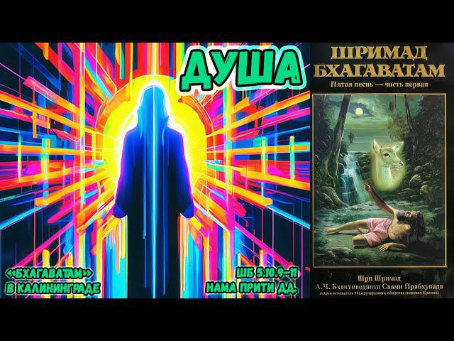 Душа. Нама Прити дд. ШБ.5.10.9–11