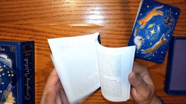 Everyday Witch Tarot and Oracle Deck and Reading - Healing Bath is Needed смотреть онлайн