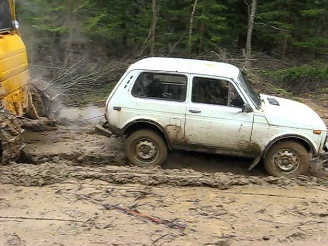 Нива глубоко засела.