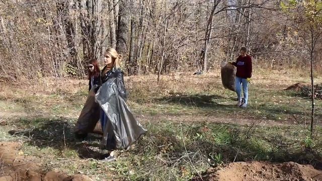 Лесные сады - практикум по лесовосстановлению смотреть онлайн