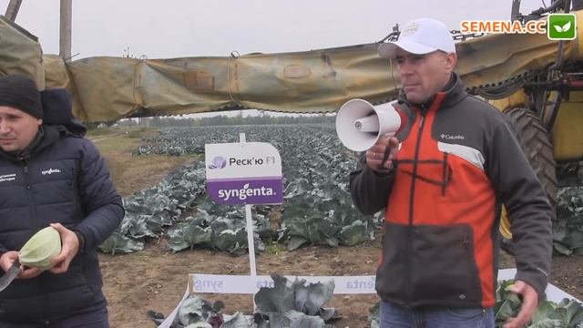 Зенон F1 капуста (Syngenta) День поля смотреть онлайн