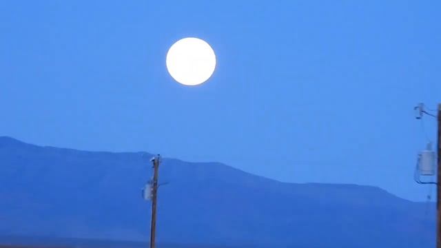 2020 TAKE TRUMP OUT PLAYBOOK.., PHASE I & II смотреть онлайн