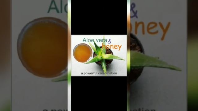 Make Aloe Vera honey face mask for clear Glowing skin смотреть онлайн