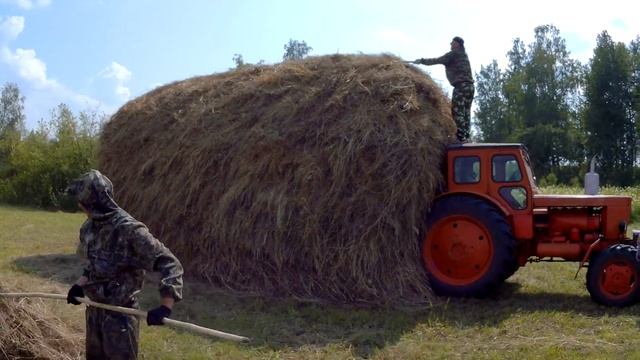 Уборка сена в Сибири смотреть онлайн
