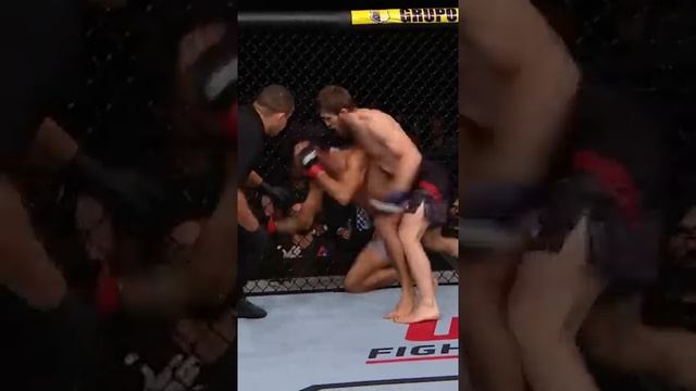 Инстинкт победителя Саида Нурмагомедова ?