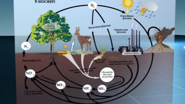 Плакат с музыкой смотреть онлайн