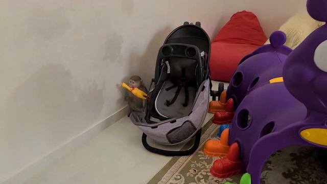 Дайте второй шанс мыслям, желаниям!!! Всем хорошего настроения!!! 22.01.24 смотреть онлайн