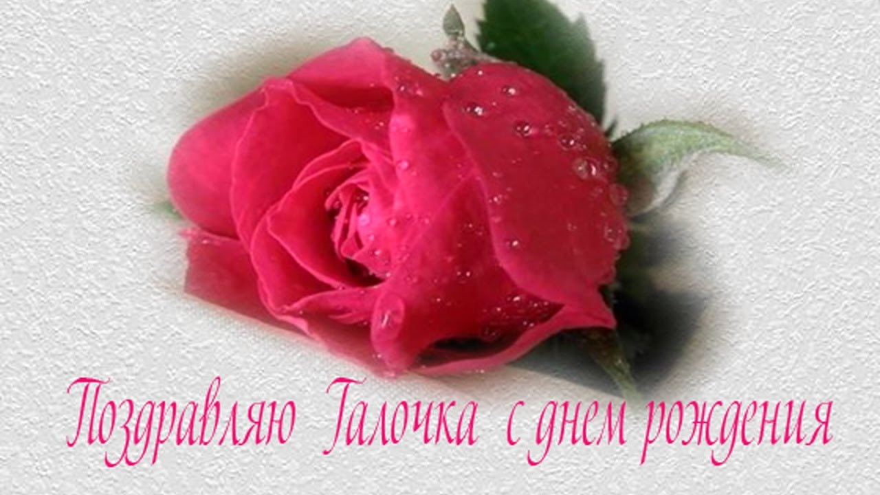 С Днем Рождения Галина! Красивое Поздравление!