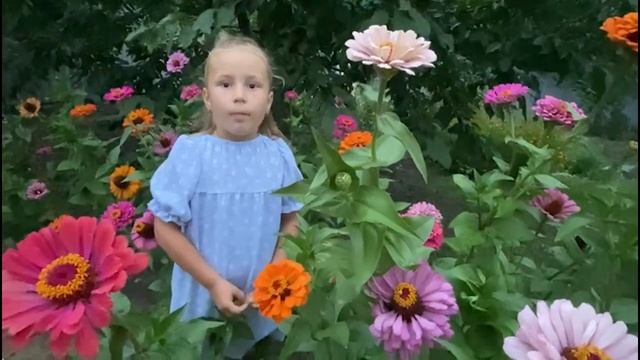 Дети поздравляют любимого воспитателя с Днём Рождения! смотреть онлайн