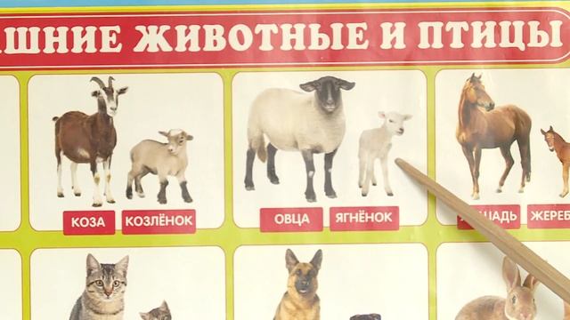 Коррекция речи / Здравствуйте смотреть онлайн