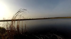 Джиг Риг и Танта — УБОЙНОЕ СОЧЕТАНИЕ! Ловля окуня на спиннинг Рыбалка осенью