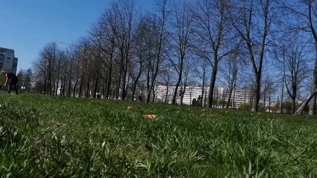 Романова Анна бк Сай открытый класс "сюрприз" смотреть онлайн