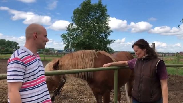 Лечение лошадей от простуды - опыт от лучших школ (конно-спортивная школа РЕПРИЗ) смотреть онлайн