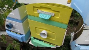 для чего делать верхние летки в корпусах и магазинах улья, и можно ли делать только нижний леток.mp4