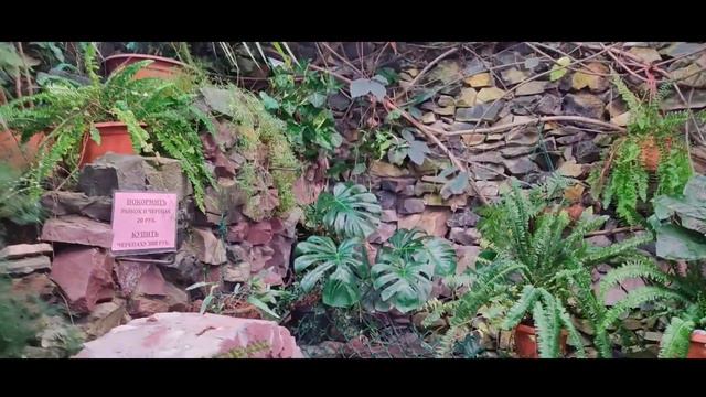 Ботанический сад институт г.Уфы \ Botanical Garden Institute of Ufa \ Zhiyun smooth 4 смотреть онлайн
