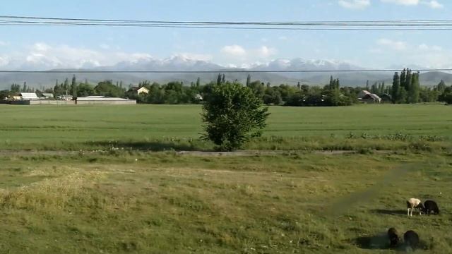 Поезд на Иссык-Куль смотреть онлайн