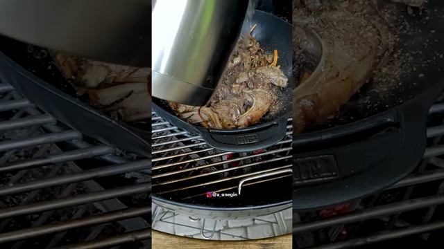 Наука о Животных и их Поведение